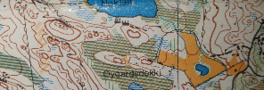 Treningsløp Skrindohaugen